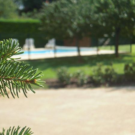Отель Le Relais De La Sans Fond Fenay Экстерьер фото